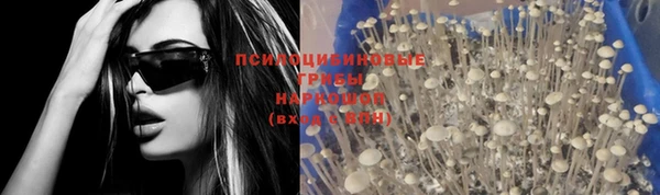 мяу мяу кристалл Алексин