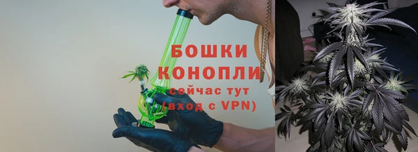 бошки Гусиноозёрск