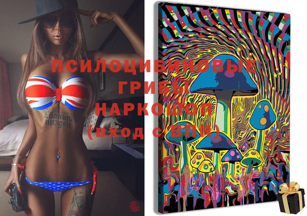 мяу мяу кристалл Гусь-Хрустальный