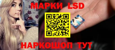 spice Свободный