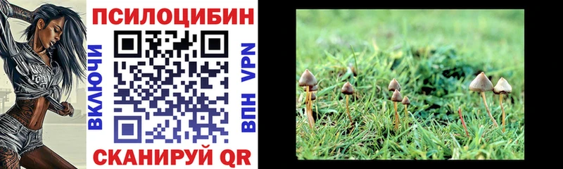 Псилоцибиновые грибы Psilocybine cubensis  MEGA как зайти  Светлоград 